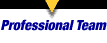 Professional Team