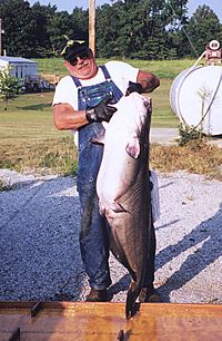 Bruce Midkiff